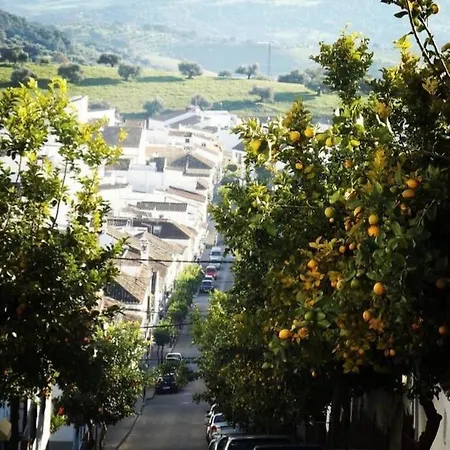 La Payana, Sierra De Grazalema Consultar Precios En La Payana Prado Del Rey Villa Exterior photo