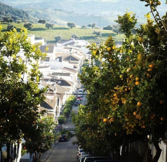 Holiday home La Payana, Sierra De Grazalema Consultar Precios En La Payana *